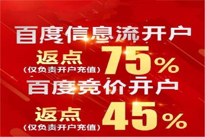 深入解析SEM竞价托管的成功案例